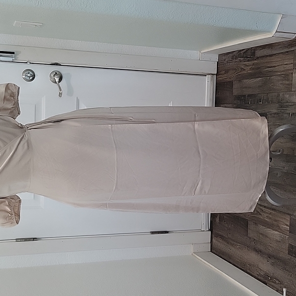 Express Dress - Picture 4 of 12